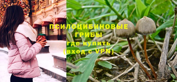 MESCALINE Магас