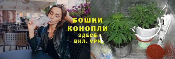 MESCALINE Магас